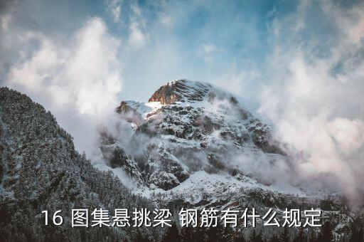 有關鋼筋的規范和圖集有哪些...